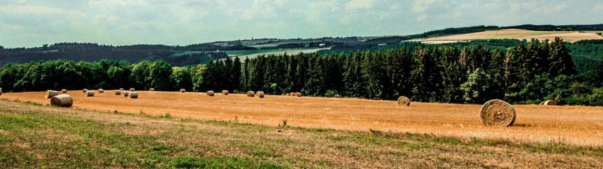 Omgeving val dor luxemburg ontdekken